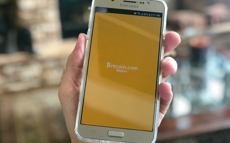 Crypto currency wallet concept
